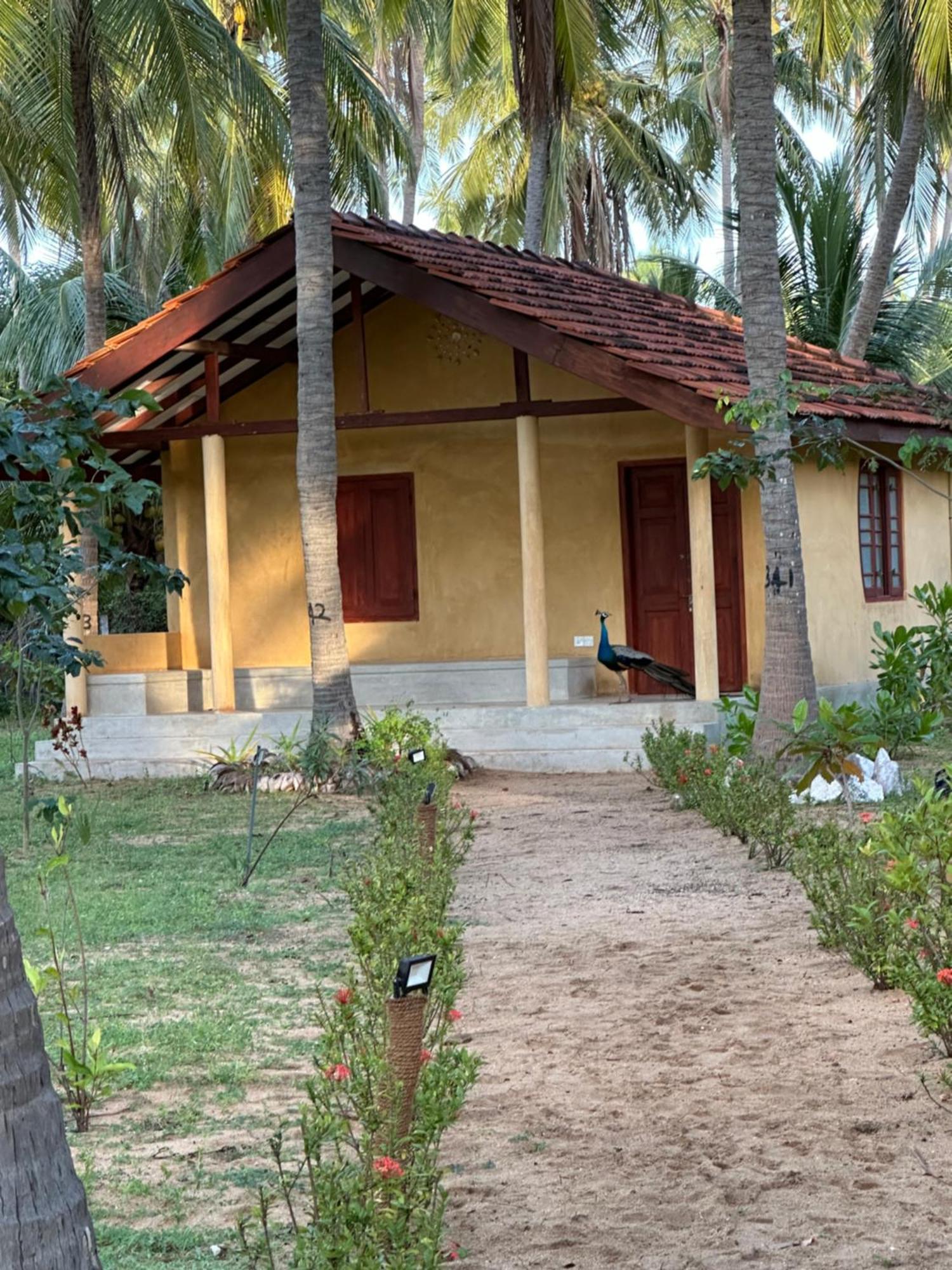 Kitelantis Hotel And Resort Kalpitiya Exterior foto