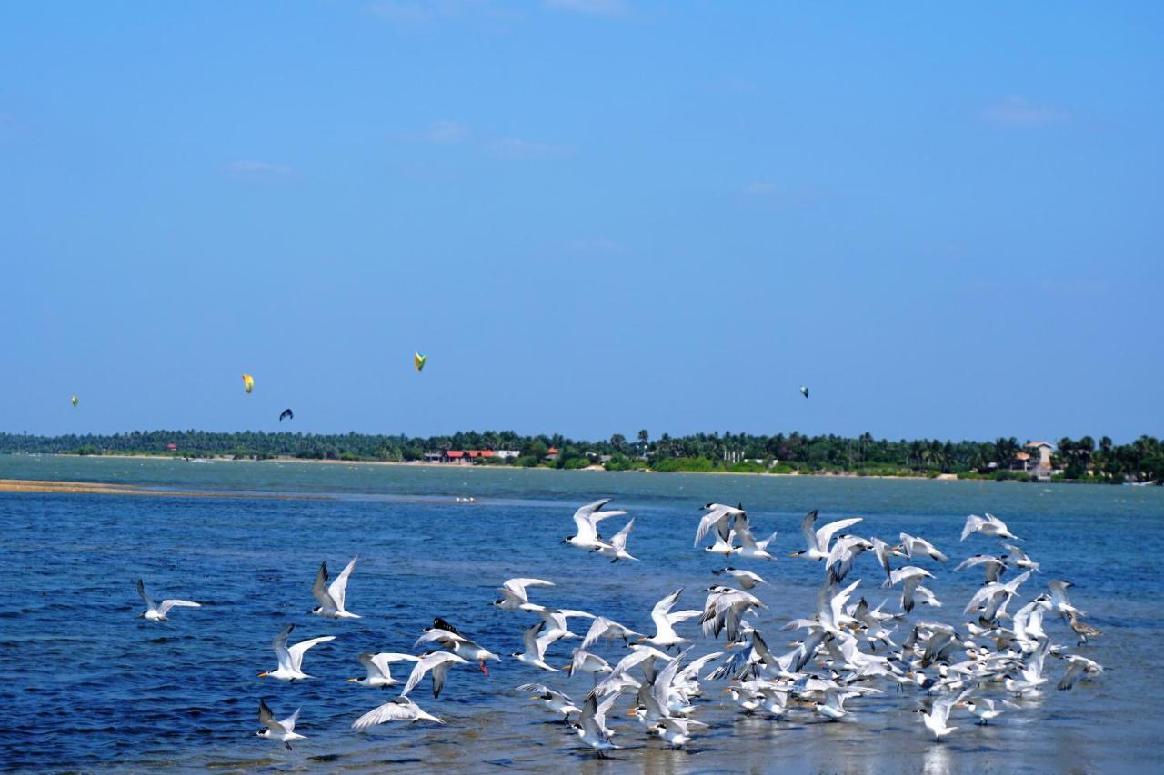Kitelantis Hotel And Resort Kalpitiya Exterior foto